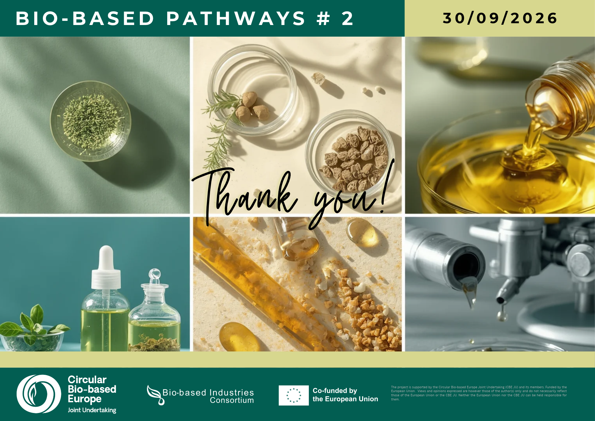 Bio-Based Pathways #2: Watch the presentations and continue exploring new opportunities